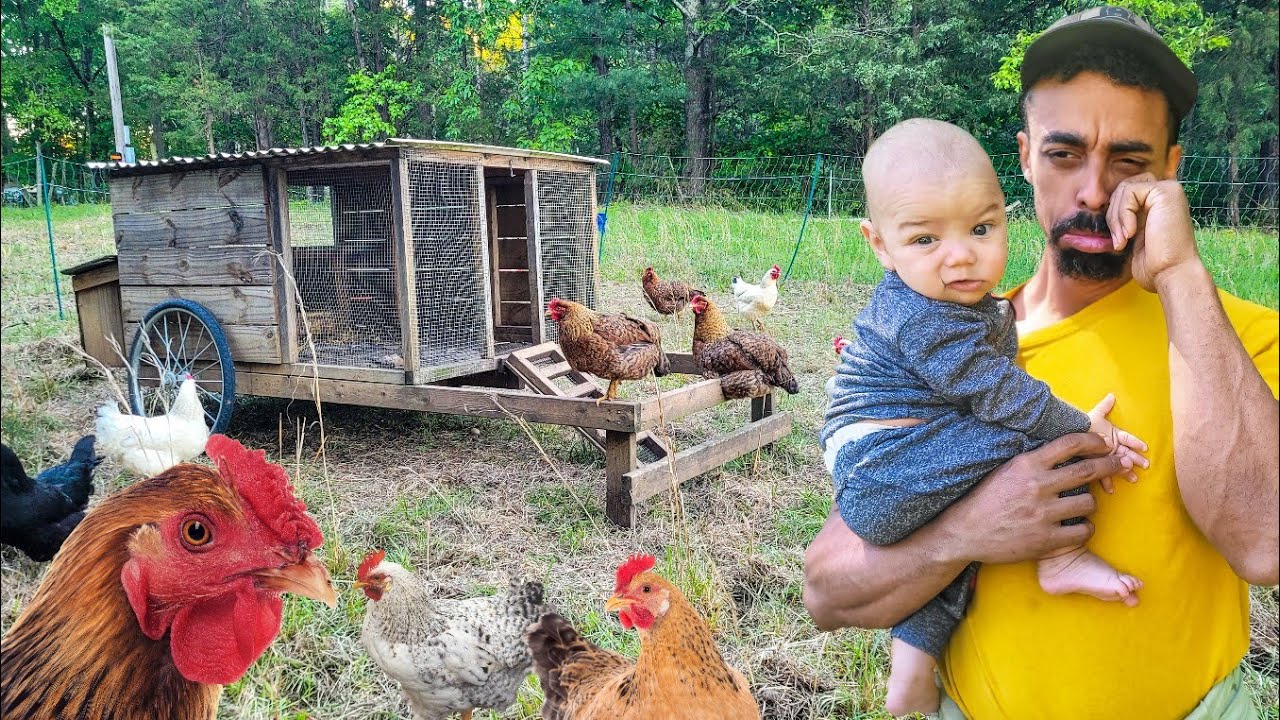 *Emotional* I DREAMED of This Day with my Chickens on our Family Farmstead