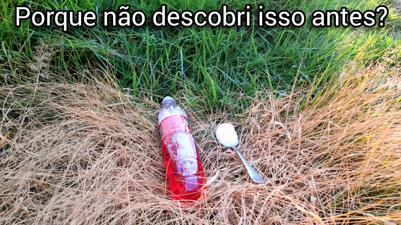 QUINTAL SUJO NUNCA MAIS: MATA MATO CASEIRO | Cantinho da Gê