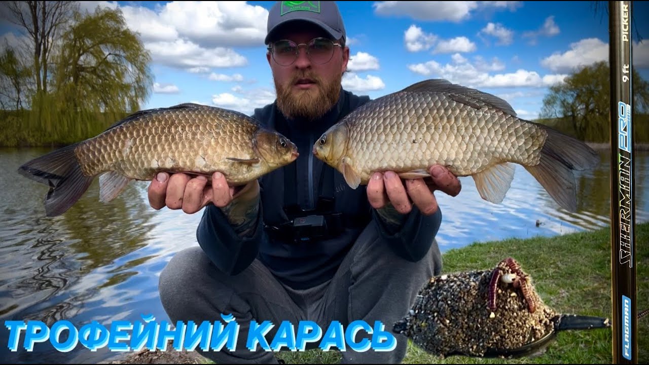 ТРОФЕЙНИЙ КАРАСЬ НА ПІКЕР|РИБАЛКА НА КАРАСЯ|Flagman Sherman Pro Picker
