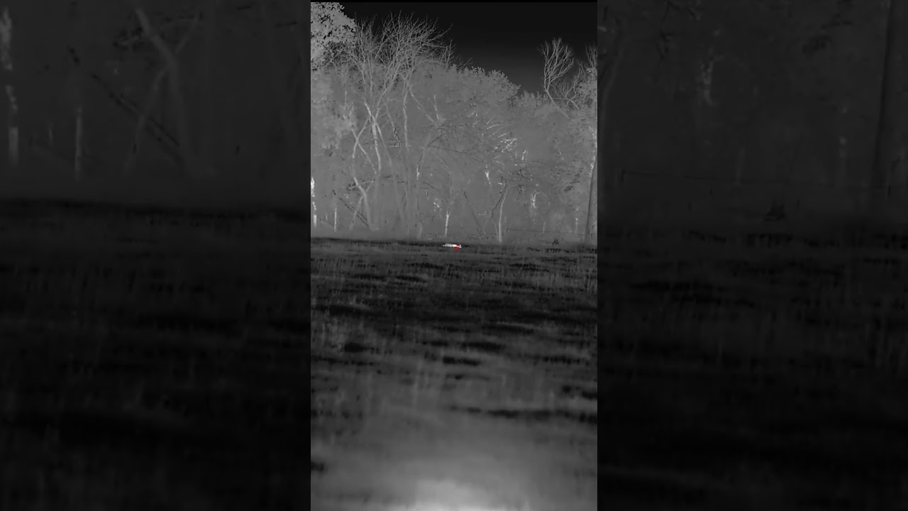 128yd chip shot with the ETX built 22creed. #accurate