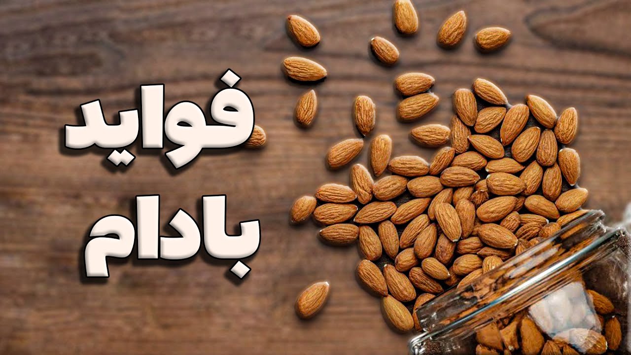 خواص بادام درختی | چگونه بادام درختی به دکتری برای سلامتی ما تبدیل شد؟