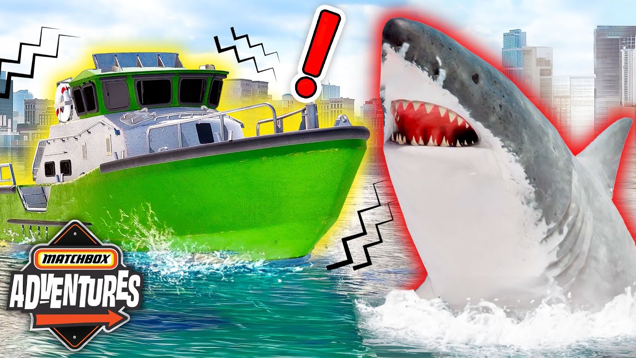 ¡Aventura de rescate del gran tiburón blanco en la bahía! 🦈