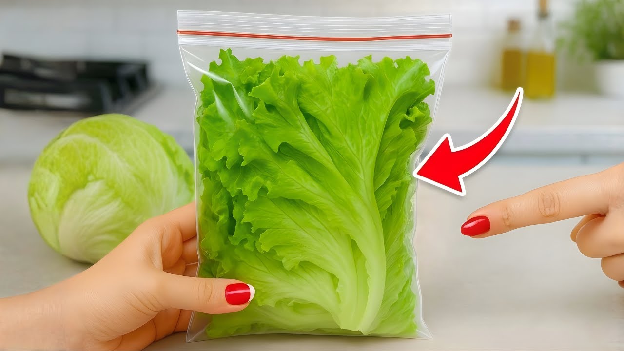 Stop Wasting Lettuce! How to Keep It Fresh, Crisp, and Green for Weeks | Tracy Tips