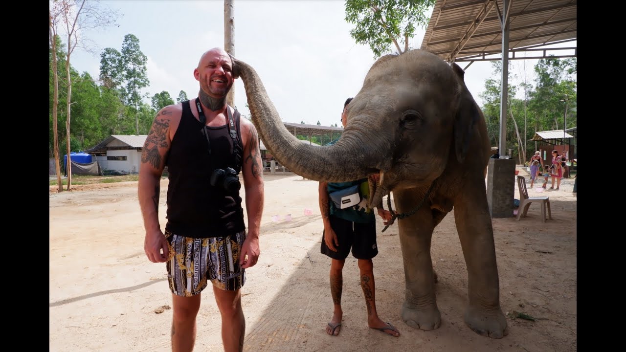 Elephant Retirement Sanctuary Phuket Thailand
