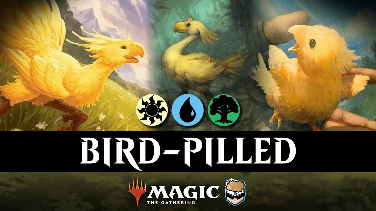I played Birds in FINAL FANTASY Standard... and it's actually good