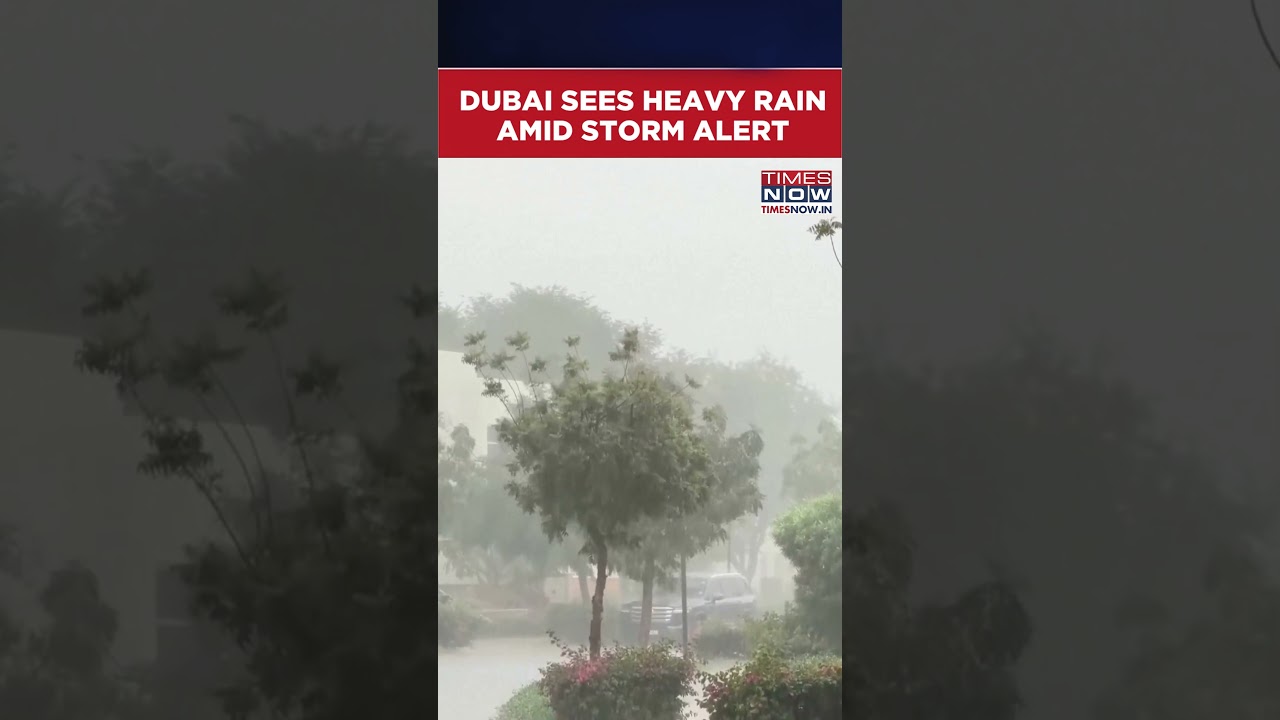 Dubai Sees Heavy Rainfall As UAE Weather Shifts | Watch Video #shorts