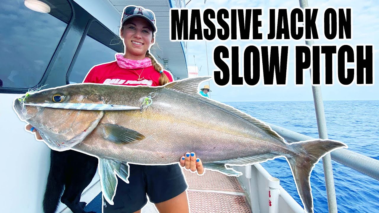 BIG ALMACO JACK caught SLOW PITCH Jigging - Fishing the Gulf of Mexico