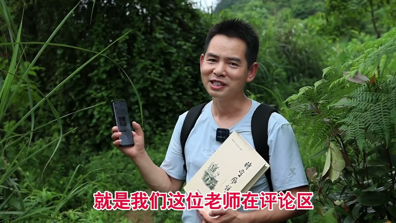 汇川区高坪镇杨氏墓葬群是省级文物保护单位，包着书实地探寻。 #汇川区 #杨氏土司 #实地探寻 #墓地 #文物古迹