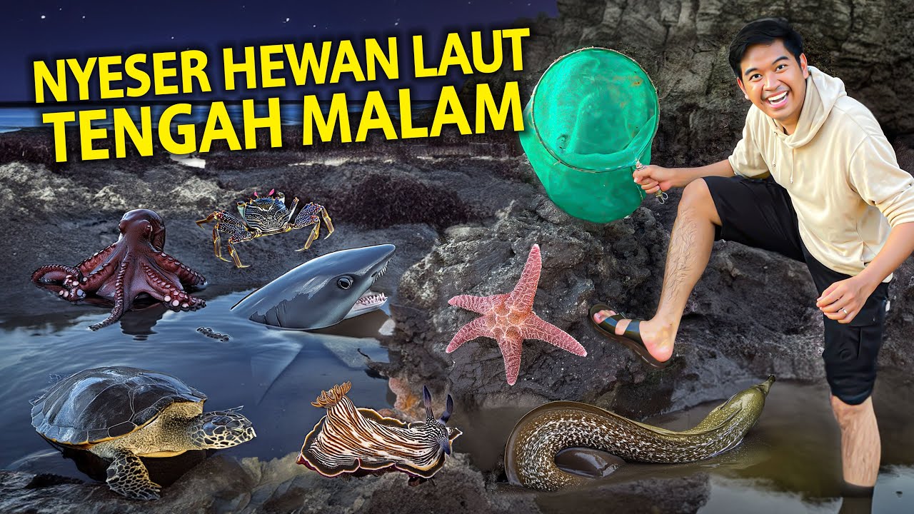 NYESER HEWAN LAUT YANG TIBA-TIBA MUNCUL TENGAH MALAM DI PANTAI SURUT!