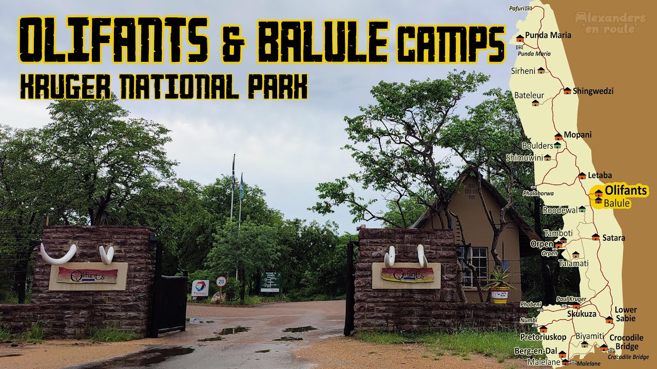 Kruger National Park: Olifants Rest Camp & Balule Satellite Camp