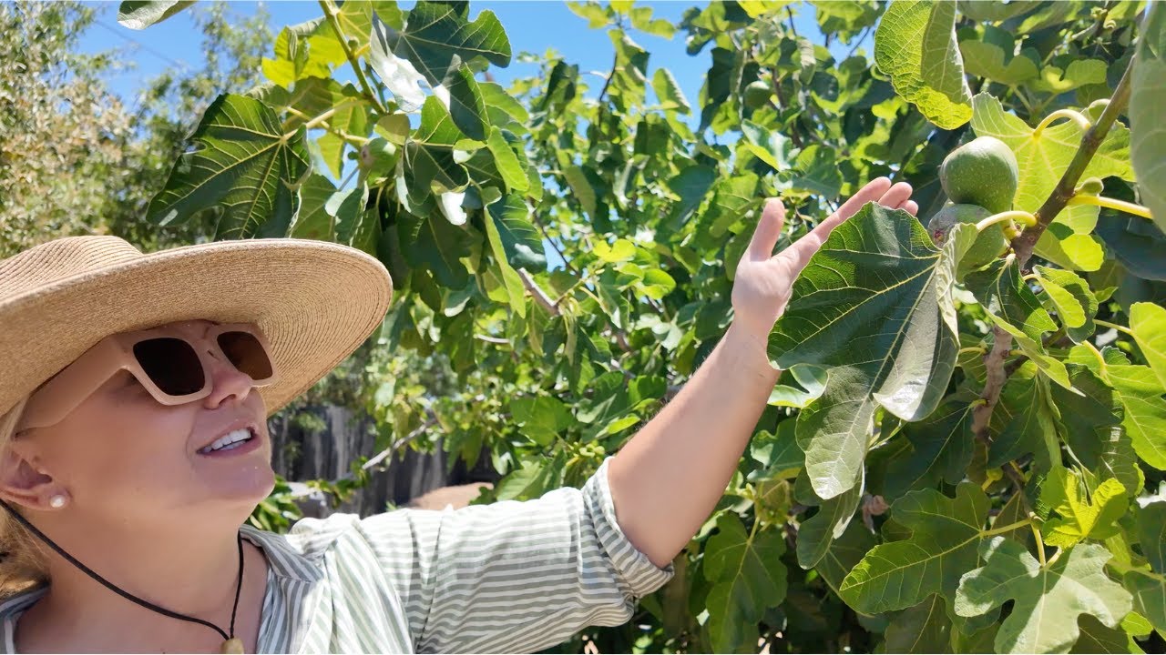 Garden Tour with Janey of @DigPlantWaterRepeat