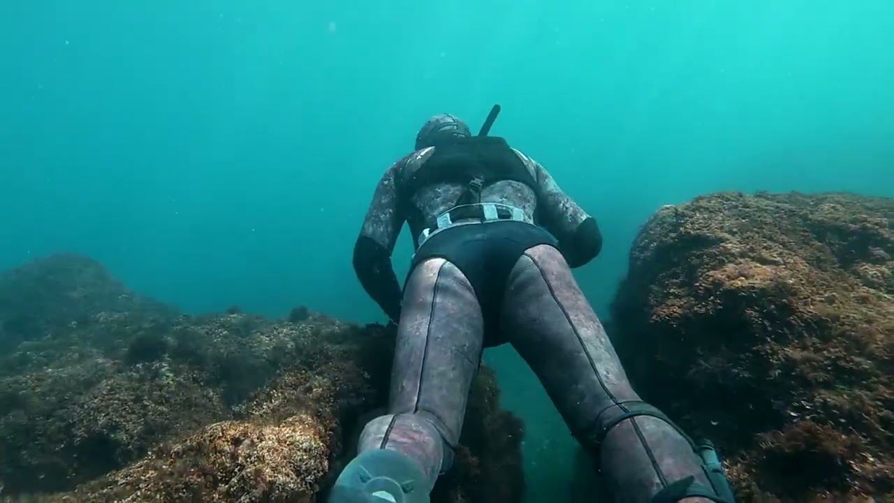 Pesca submarina con amigos: 