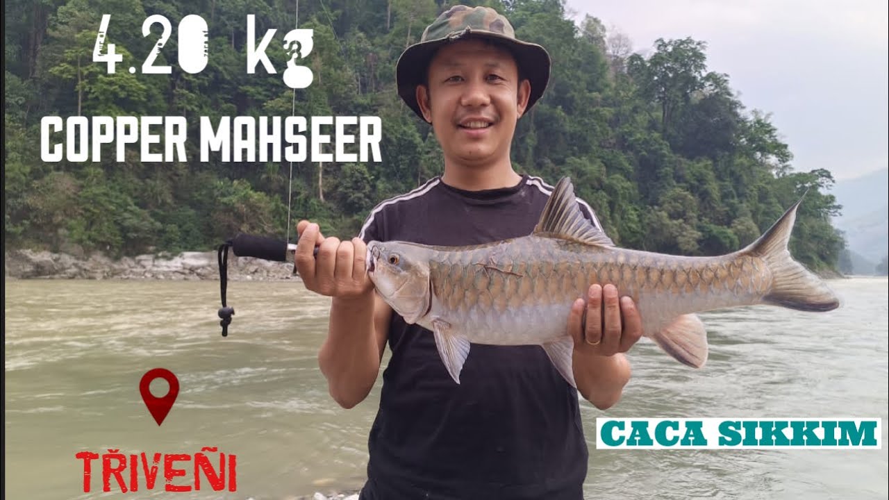 Fishing at Triveni | Confluence of Teesta and Rangeet | CACA SIKKIM