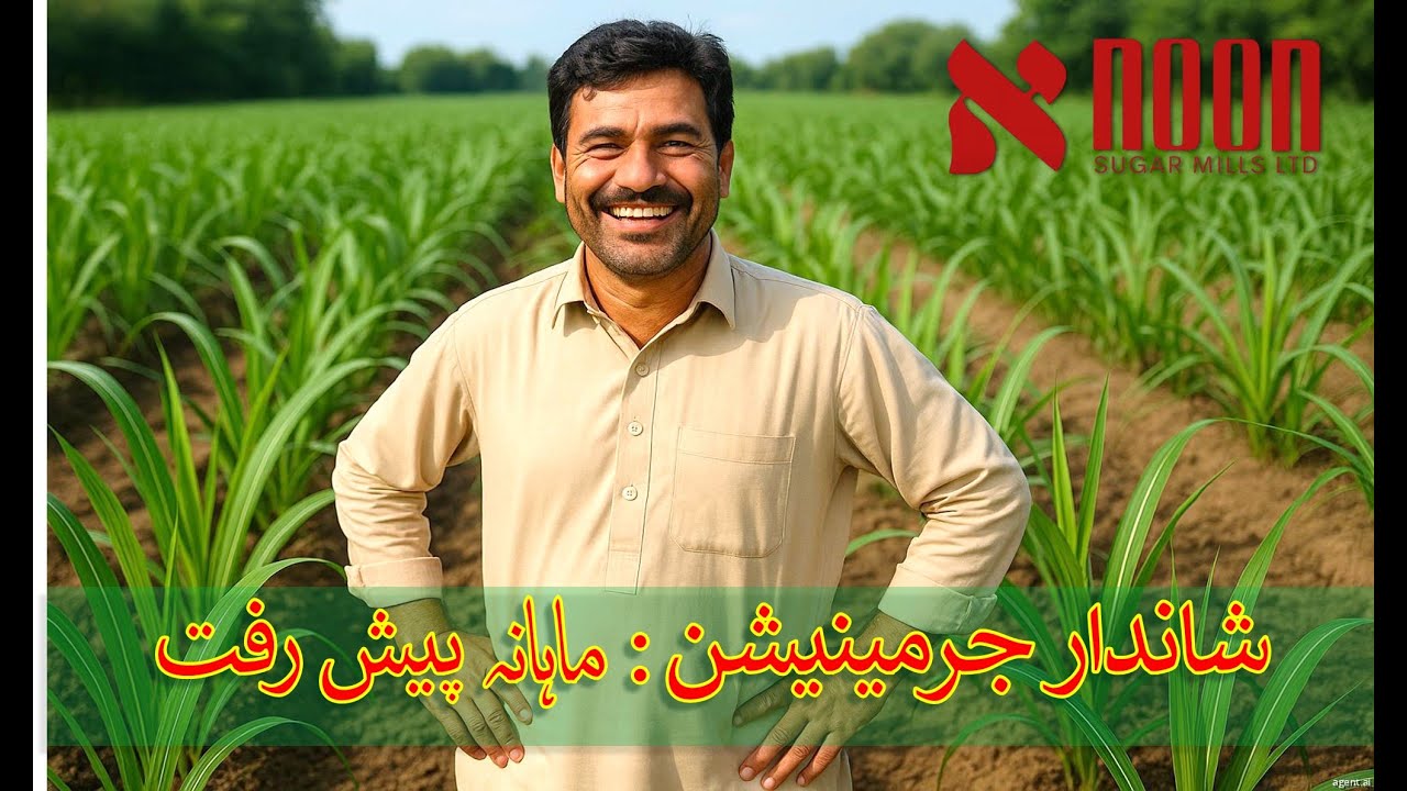 صرف دو ماہ میں شاندار گنے کی بڑھوتری — اگست کاشت کا کامیاب نتیجہ