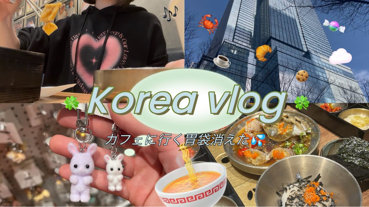 【韓国vlog🇰🇷】とりあえずHYBEとハンガンは行くよね❕🍜