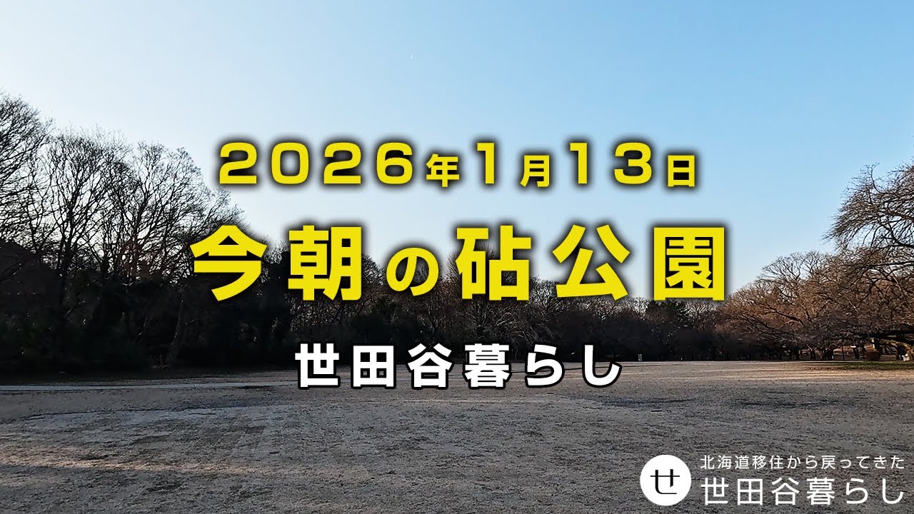 世田谷散歩｜今朝は晴天の砧公園を散歩しました。