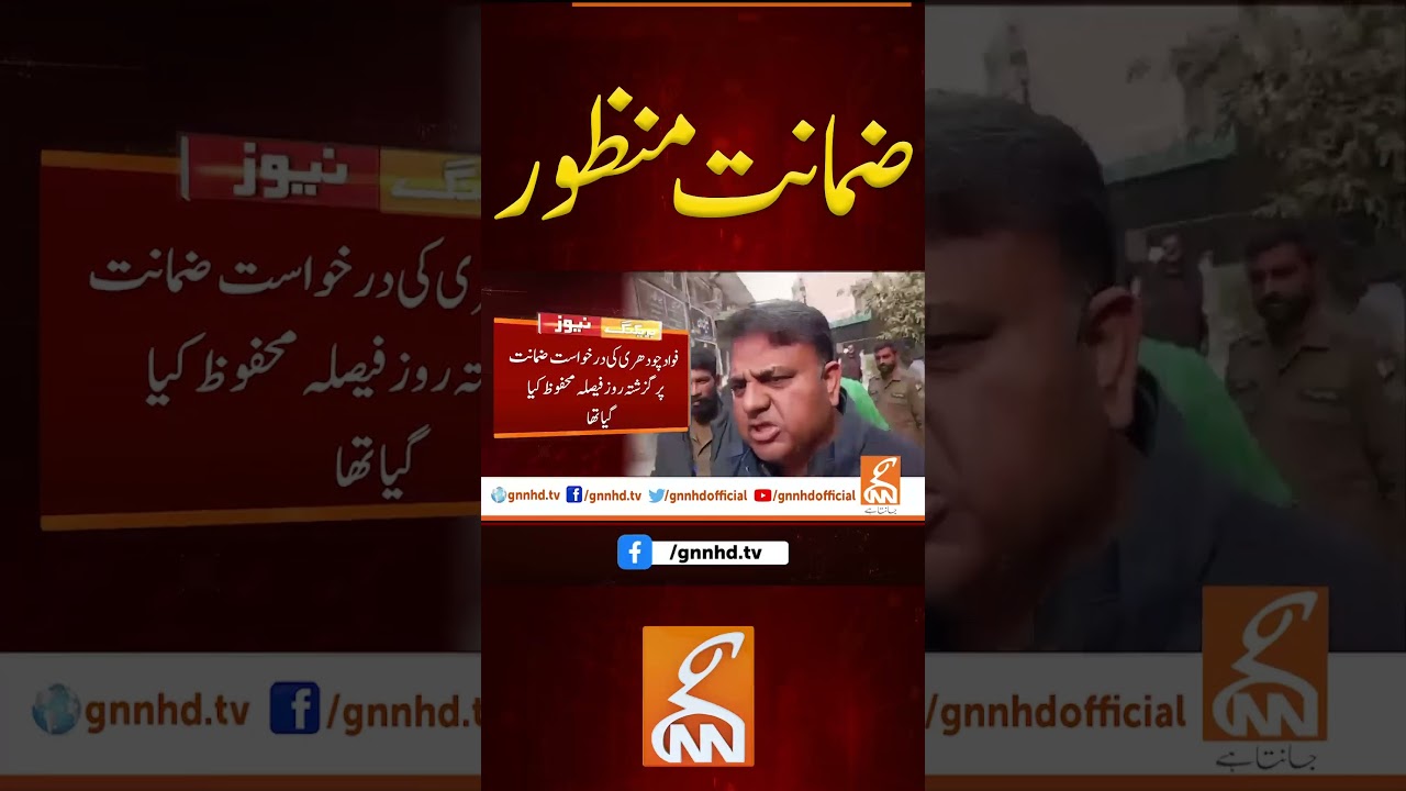 ضمانت منظور #gnn #fawadchaudhry #court #bail #news #breaking #latest #video #update