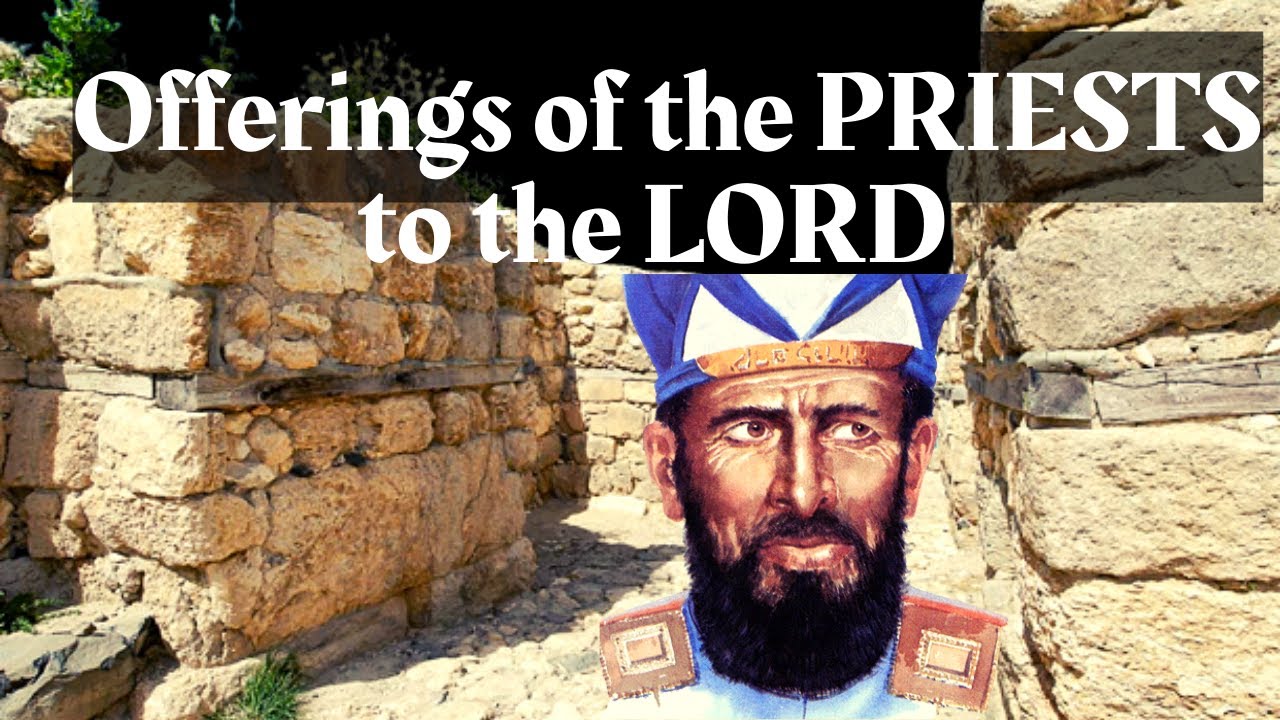 Offerings of the Priests to the Lord | Leviticus 6 - Part 2
