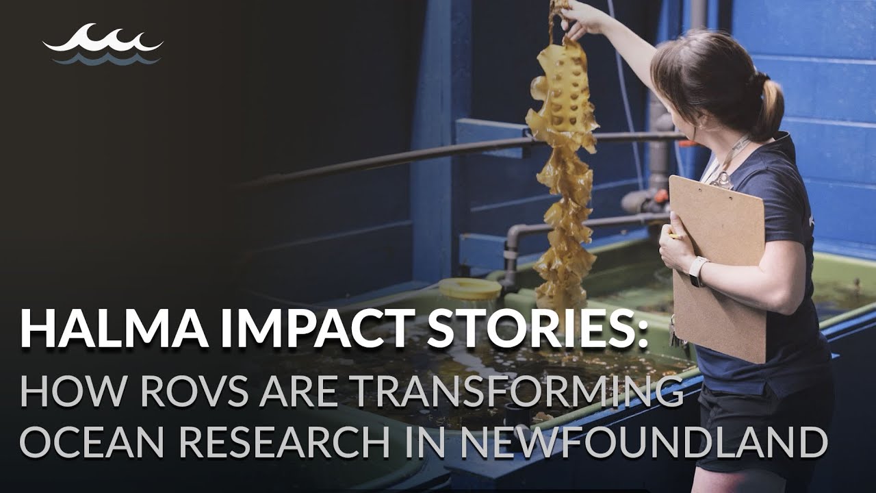 Halma Impact Stories: How ROVs Are Transforming Ocean Research in Newfoundland
