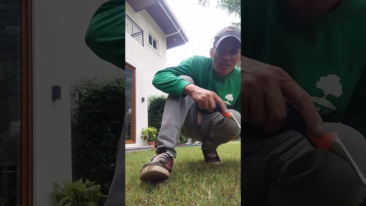 tara mga bay mag weeds remove