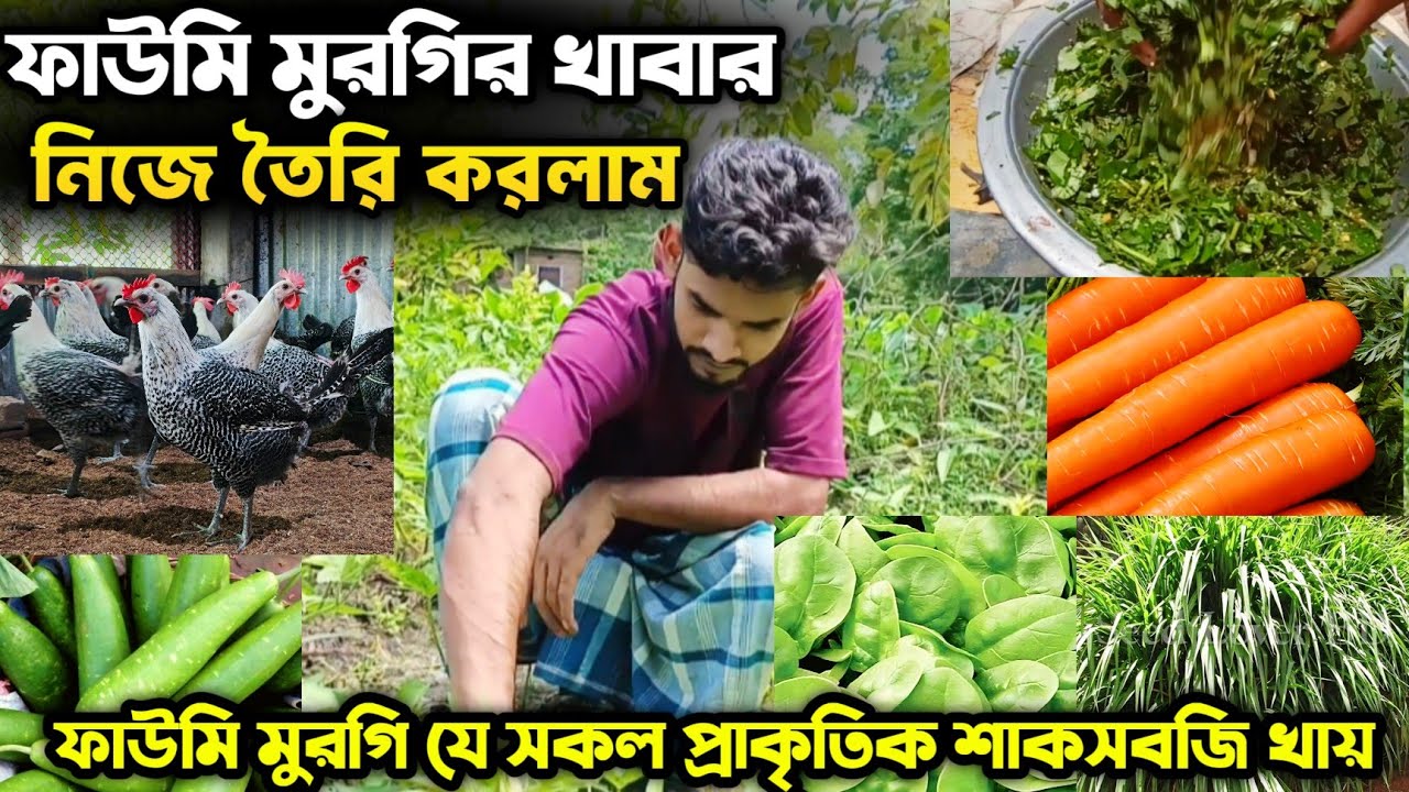 🐔 নিজের হাতে ফাউমি মুরগির খাবার তৈরি | ফাউমি মুরগি যে সকল প্রাকৃতিক শাকসবজি খায় 🌿