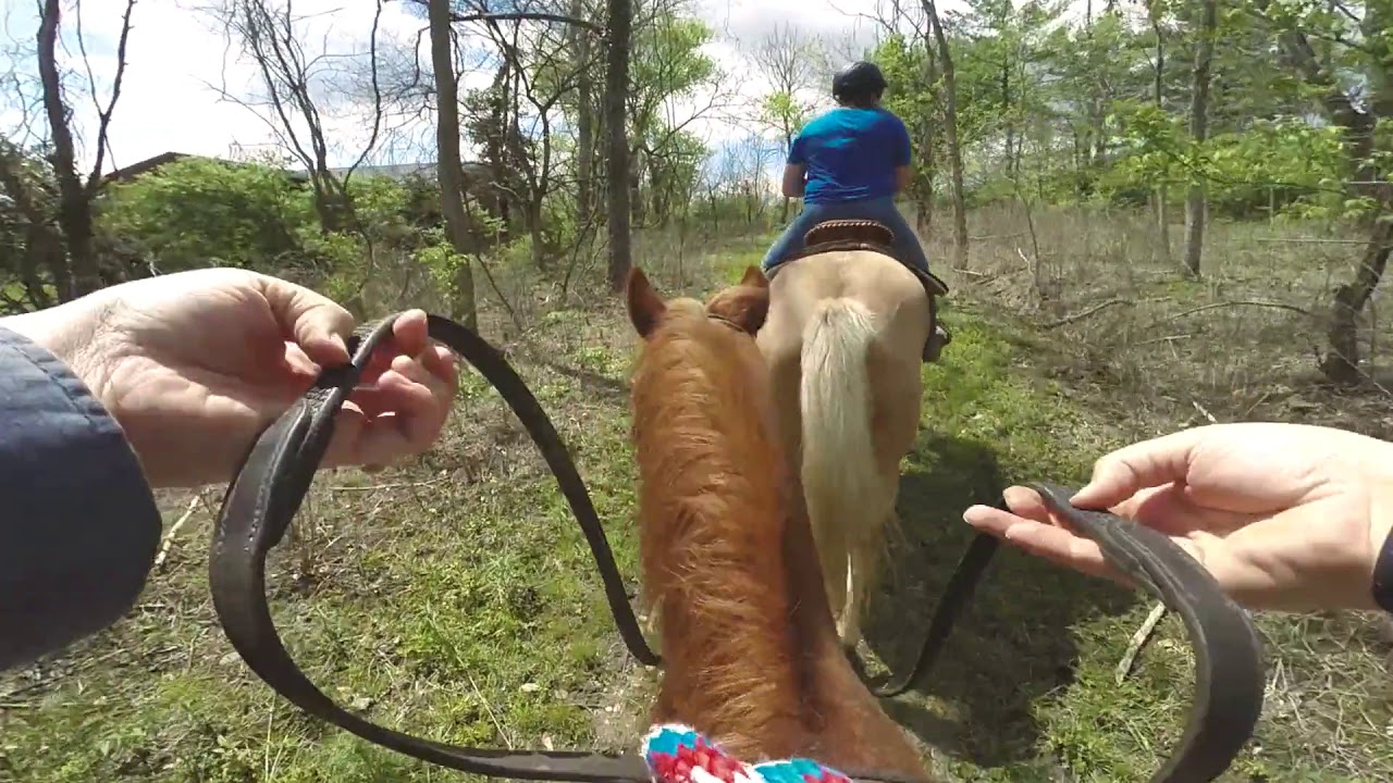 Winton Woods Riding Center Virtual Horse Trail Ride
