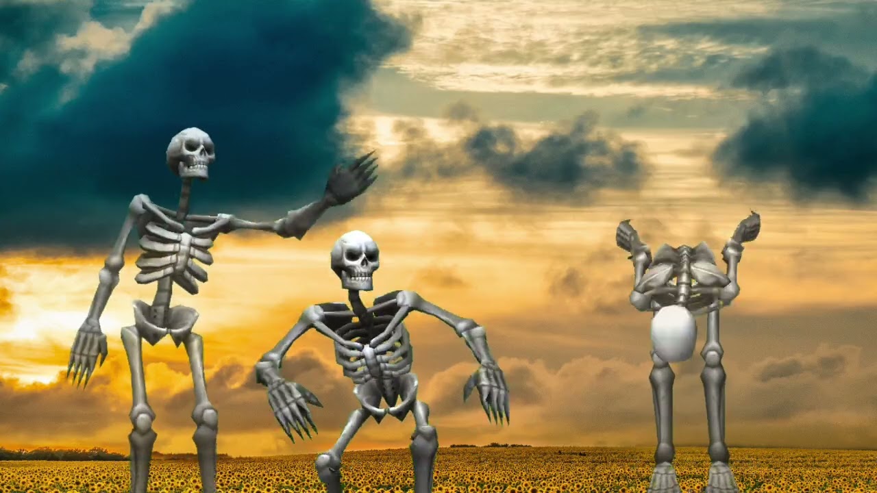 Skeleton 👑
