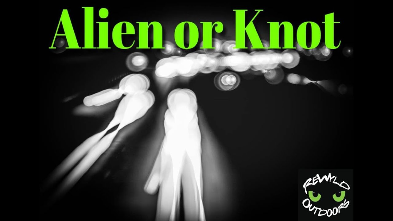 Alien or Knot?? Loop Alien ridgeline tensioner vs. simple knots?