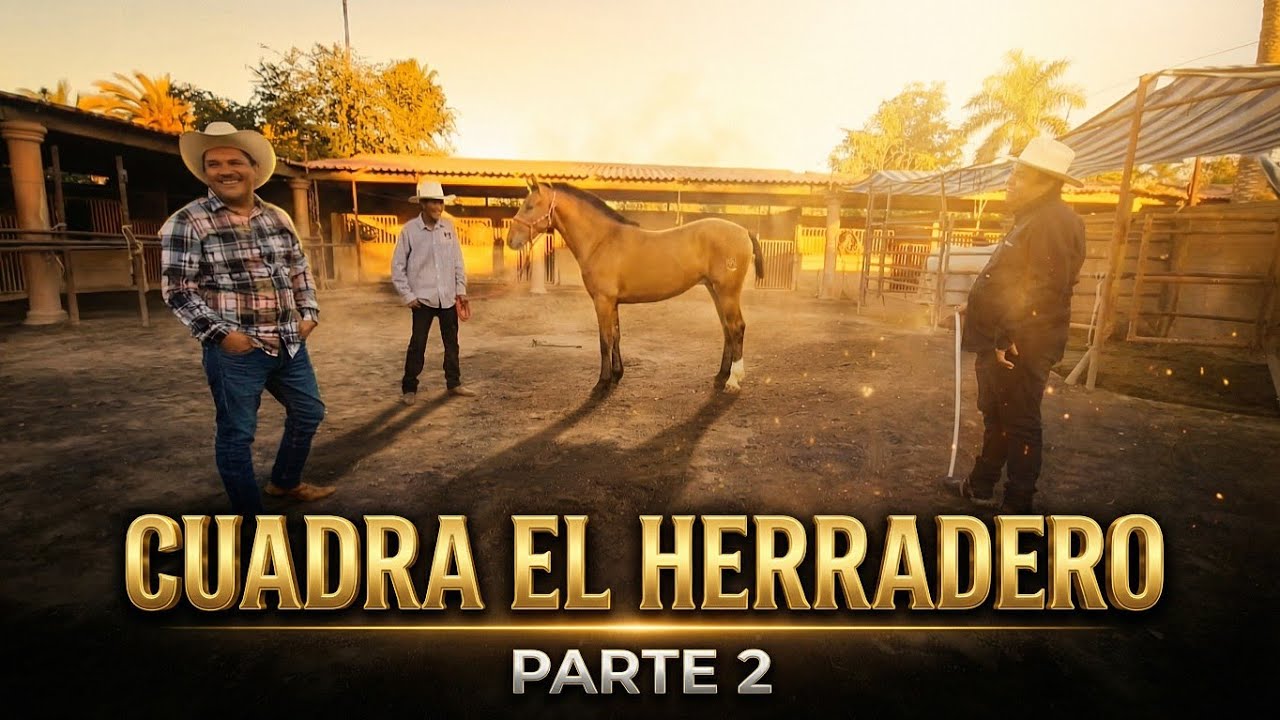 Cuadra El Herradero R4 Part.2