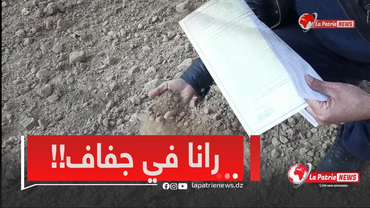 فلاح يستغيث لعدم تصليح أعطاب توزيع مياه السقي ..محيط ضاية زراقت بسعيدة يعاني الجفاف
