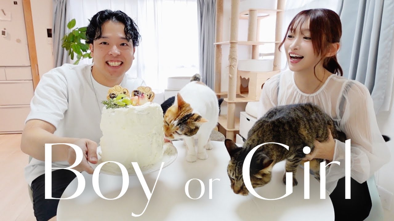 【性別発表】男の子？女の子？生まれてくる赤ちゃんの性別を発表します🎂【手作りジェンダーリビールケーキ】