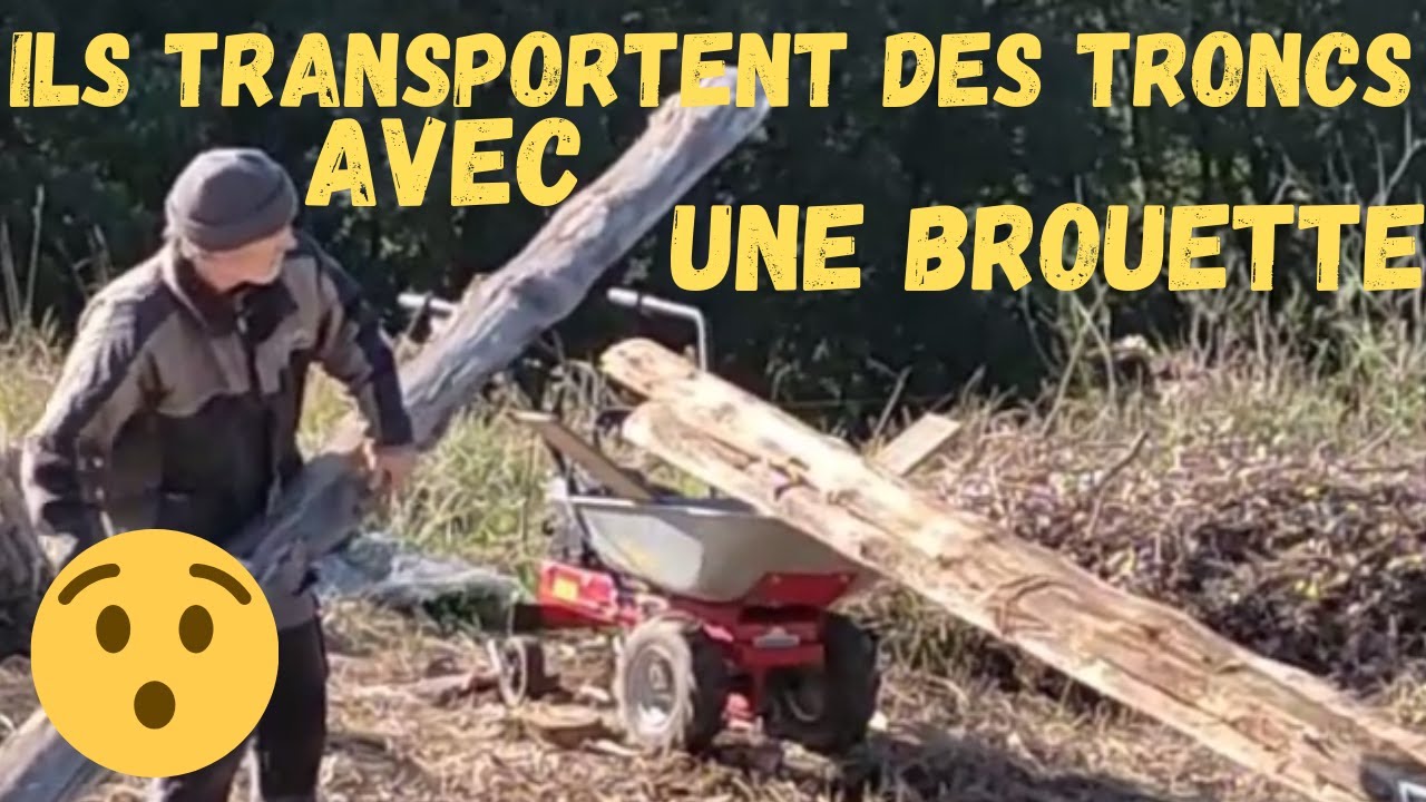 Ils transportent des TRONCS avec leur BROUETTE !!!