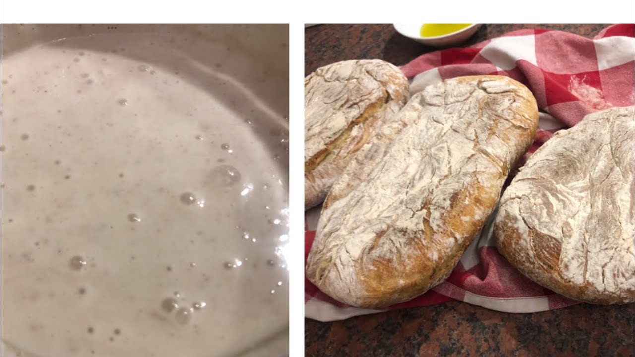 Mon levain maison secret pour le meilleur pain