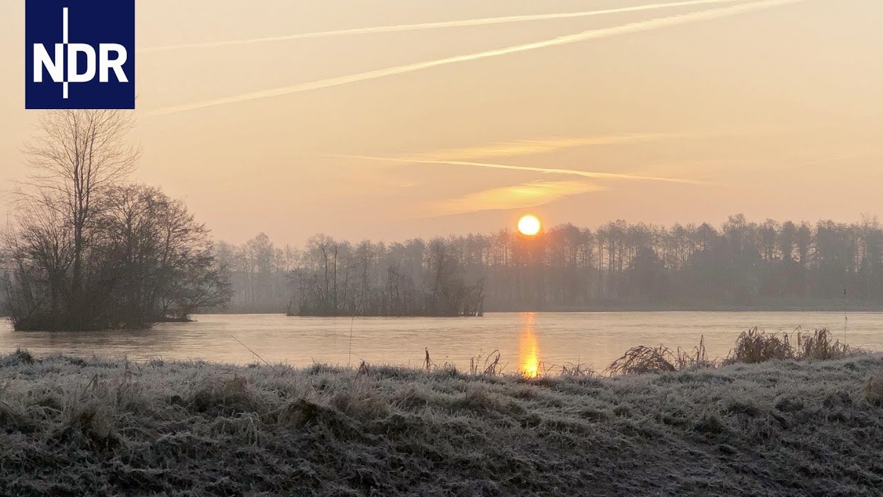 Winter in der Lüneburger Heide | NDR