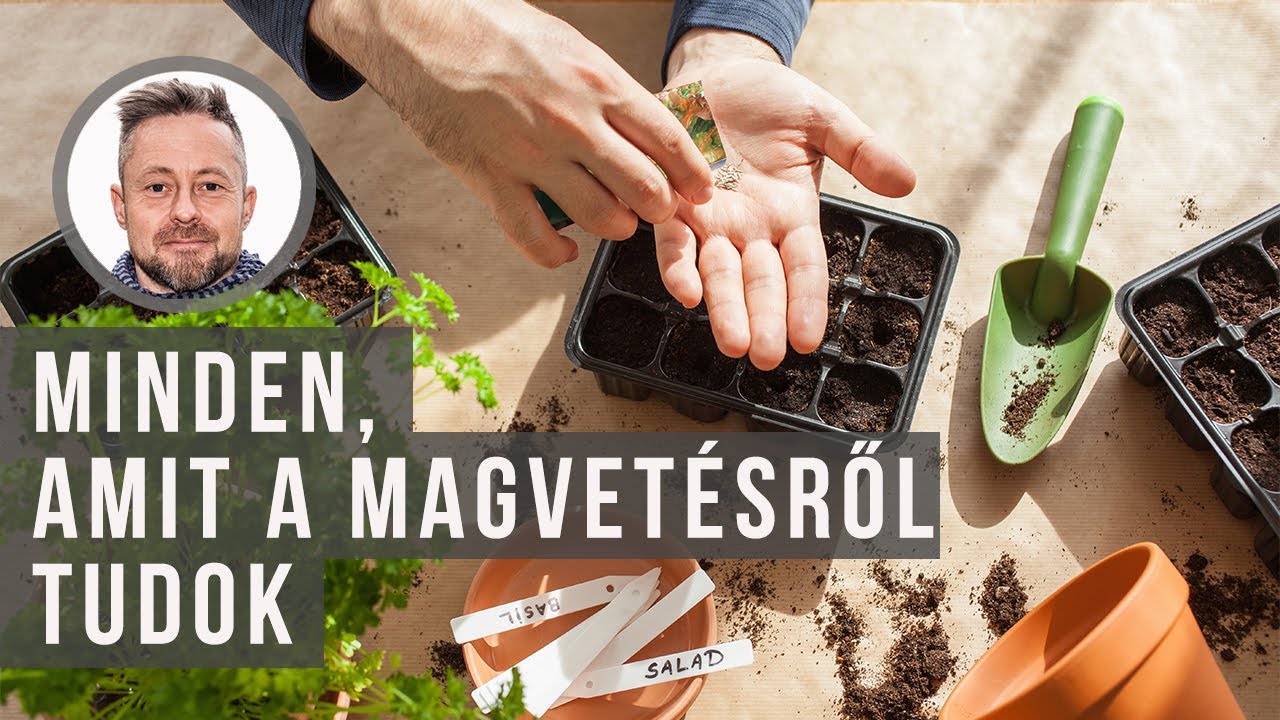 Majdnem minden,  amit a magvetésről tudok | kert TV