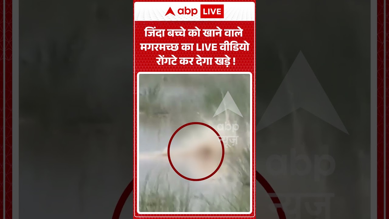 Viral Video : जिंदा बच्चे को खाने वाले मगरमच्छ का LIVE वीडियो रोंगटे कर देगा खड़े ! #CrocodileAttack