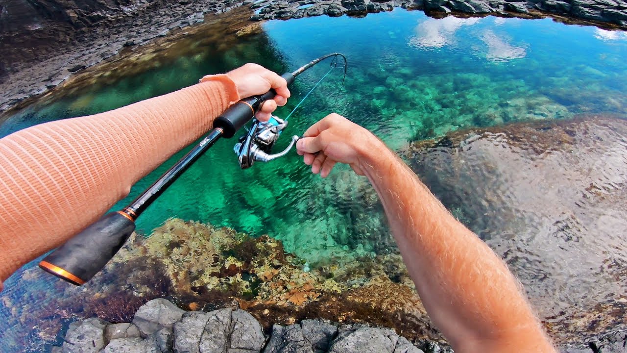 Ultra Clear Rock Pool Fishing!