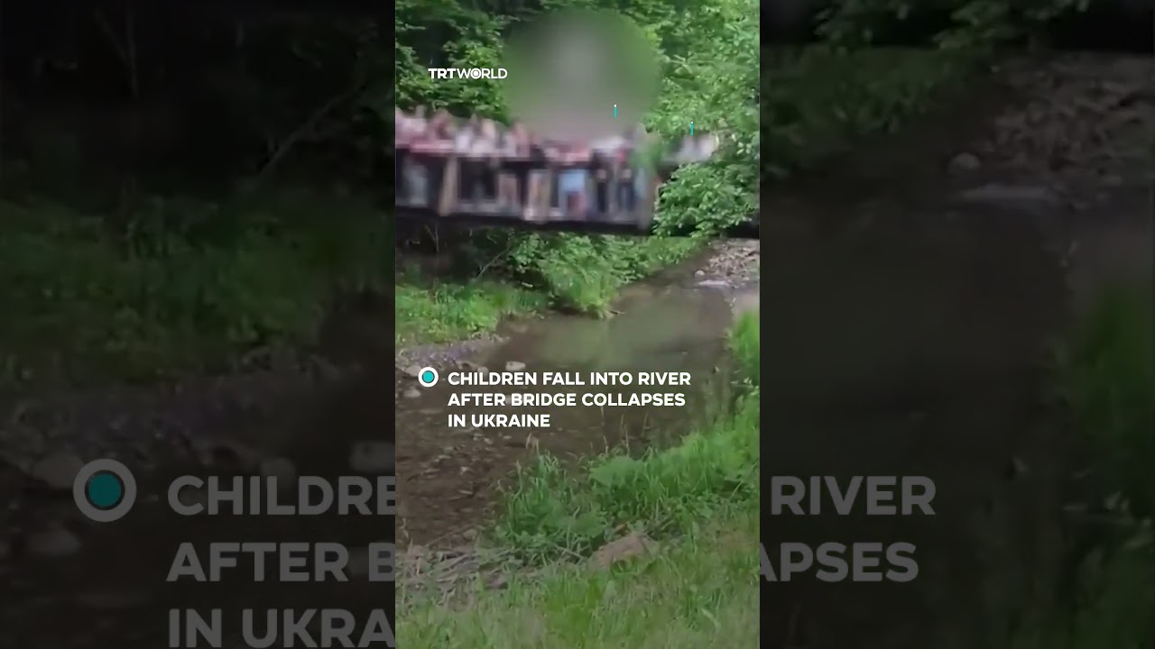 Деревянный мост обрушился под детьми во время экскурсии