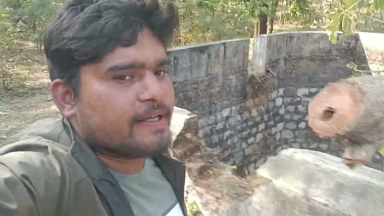 ``We Are Visiting Banjari Mata Temple Today