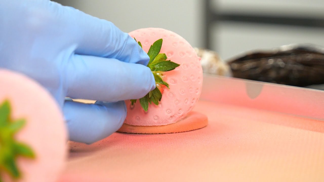 まるで本物の巨大なイチゴ。フランスで修行したパティシエが手がける芸術的イチゴケーキの作り方