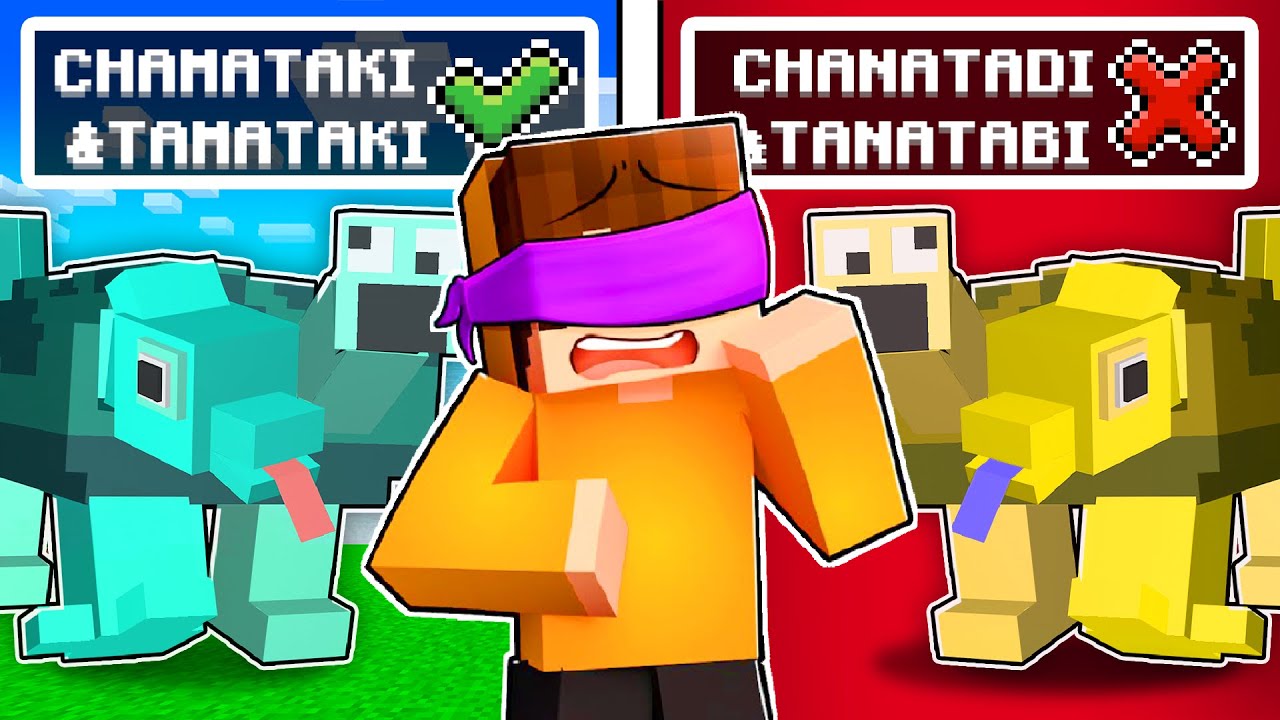 Guess the Correct CHAMATAKI & TAMATAKI in Minecraft!