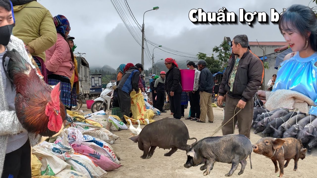 Chợ tây bắc bán toàn đồ độc lạ - Phiên chợ Bắc Hà đặc biệt mới nhất
