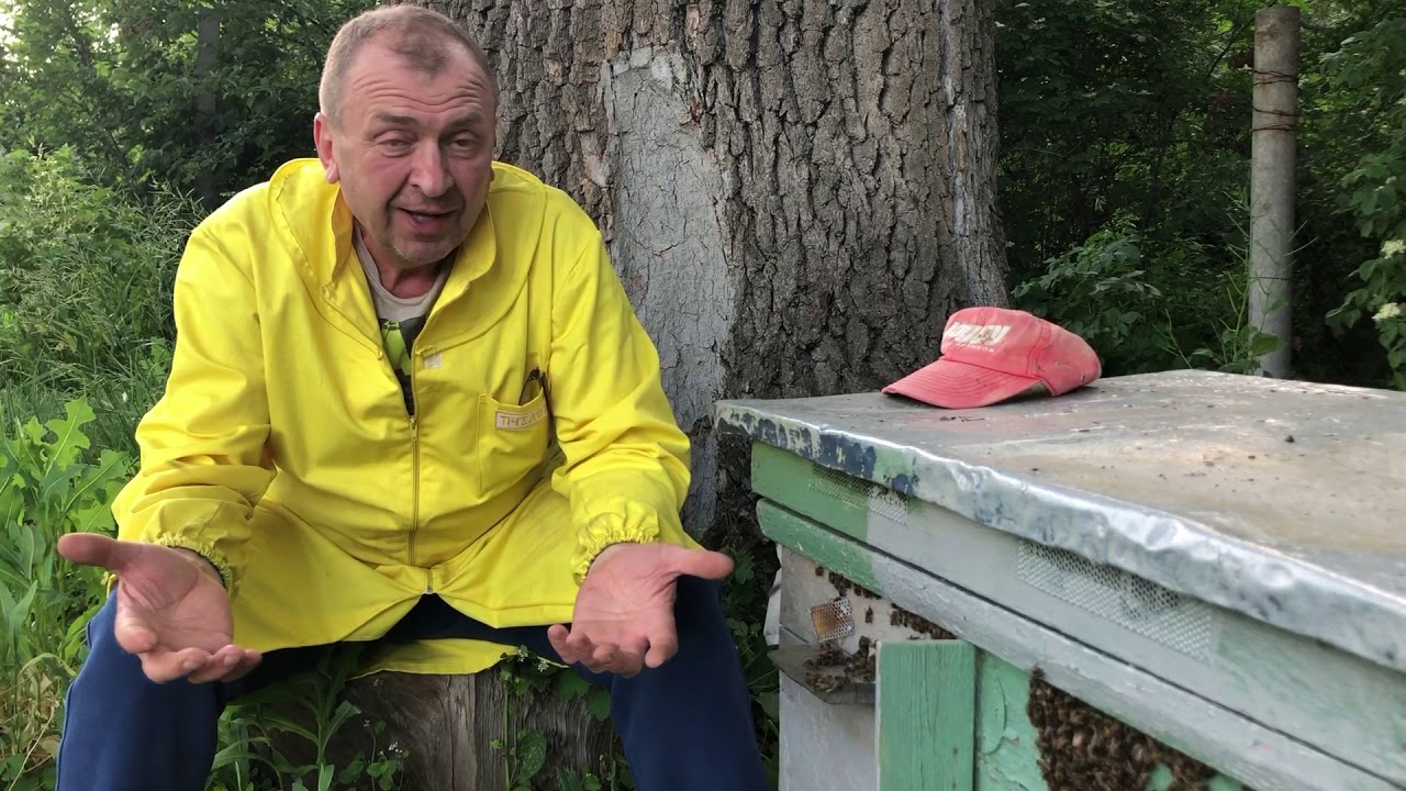 Хочу сказать про майский мёд