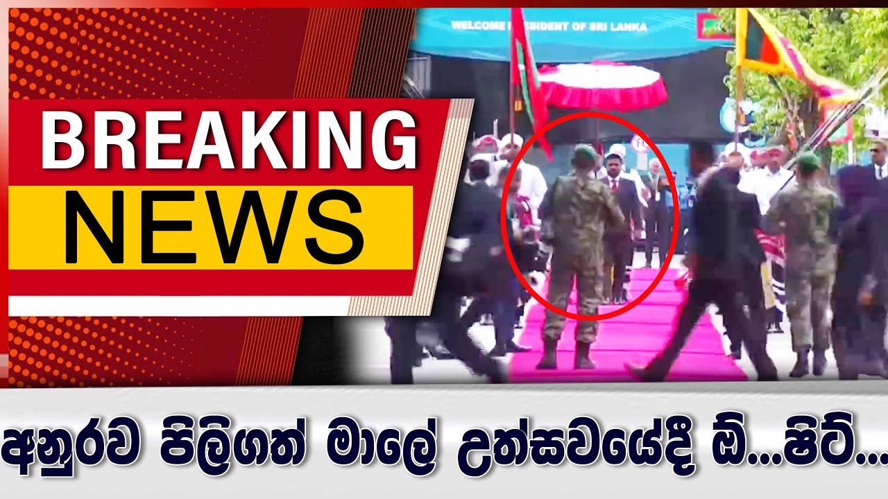 අනුරව පිලිගනී - උත්සවයේදී මෙන්න වැඩක්..