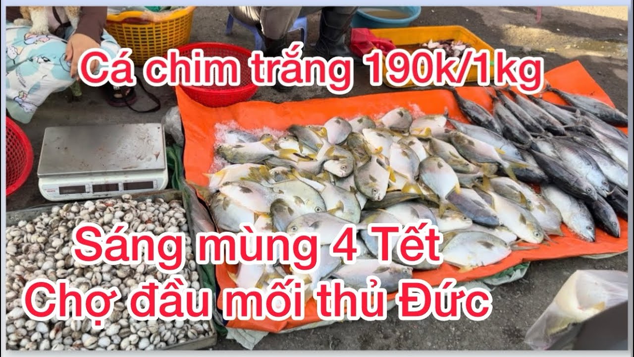 Giá hải sản chợ đầu mối thủ Đức mừng 4 Tết tăng cá chim trắng 190k/1kg