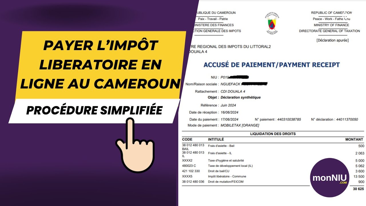 Paiement des impôts en ligne au Cameroun: tout savoir sur l'impôt libératoire
