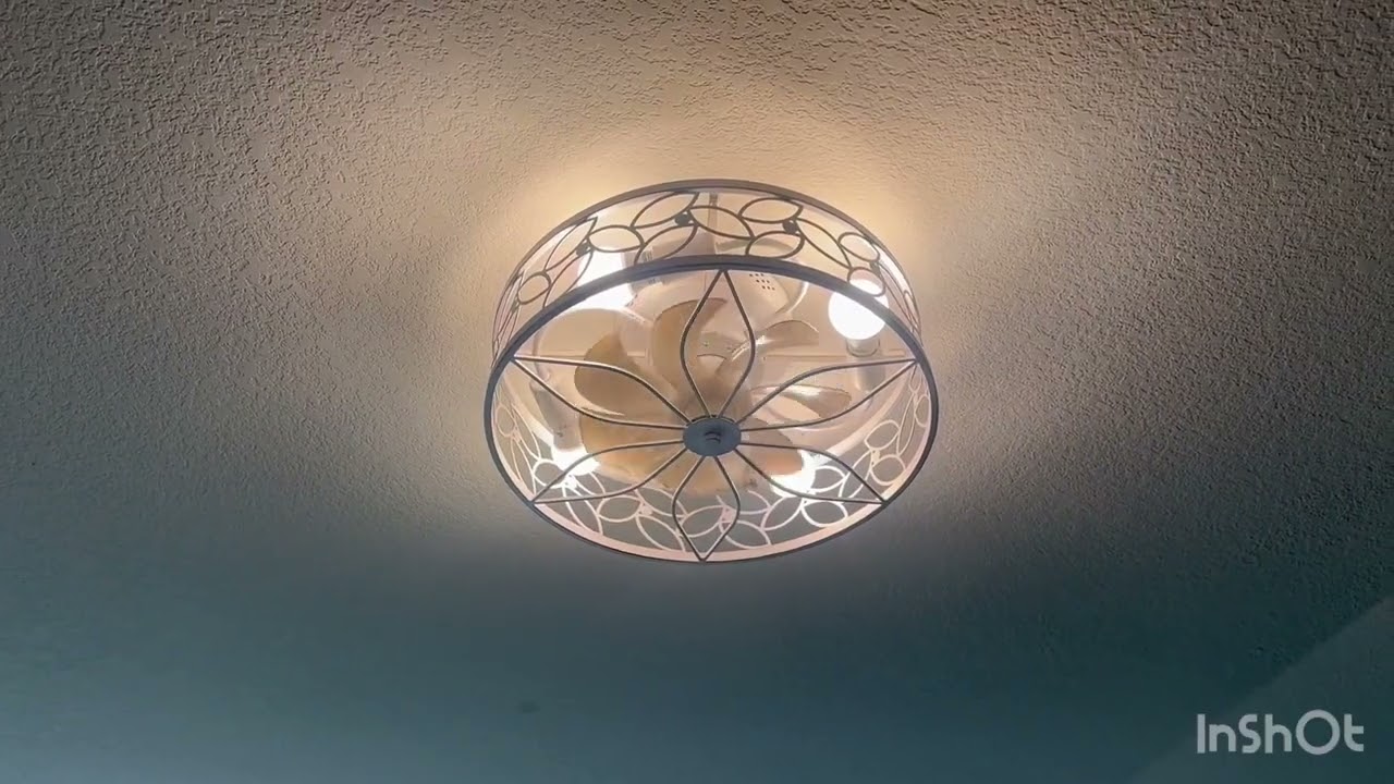 LEDIARY Caged Ceiling Fans with Lights, White Flush Mount Ceiling Fan Review rustic elegant fan