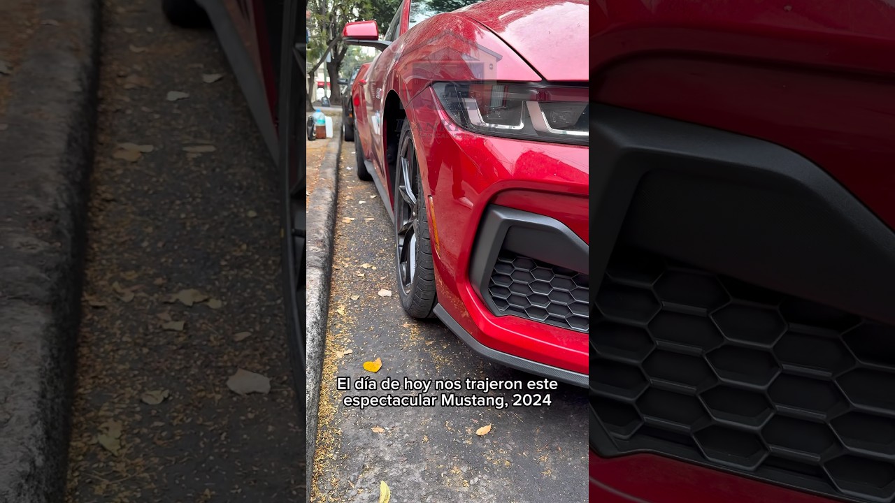 Corrección de camber, cambio de amortiguador y baño al potro 