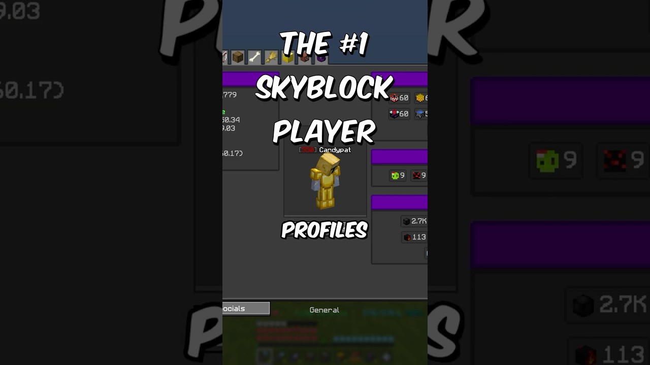 Endgame Player Reviews Your Profiles! [300] #minecraft #hypixel #skyblock #yadi #hypixelpartner