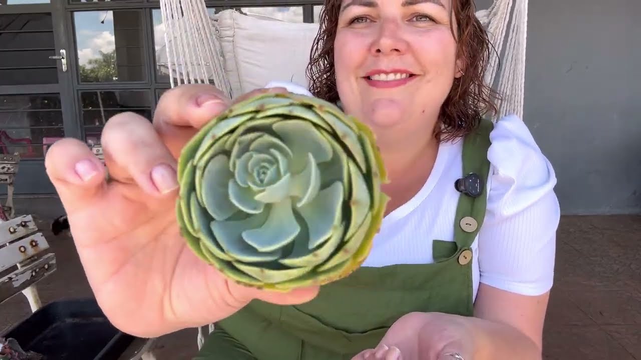 Caixa Recheada de Glaucas que veio la da Jana 😂